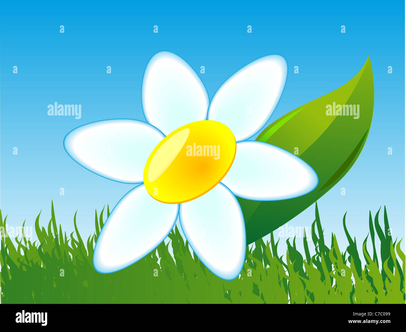 Eine blume. Blume akelas. Маленький желтый цветок арт. Eine blume. Остеоспермум фиолетовый.