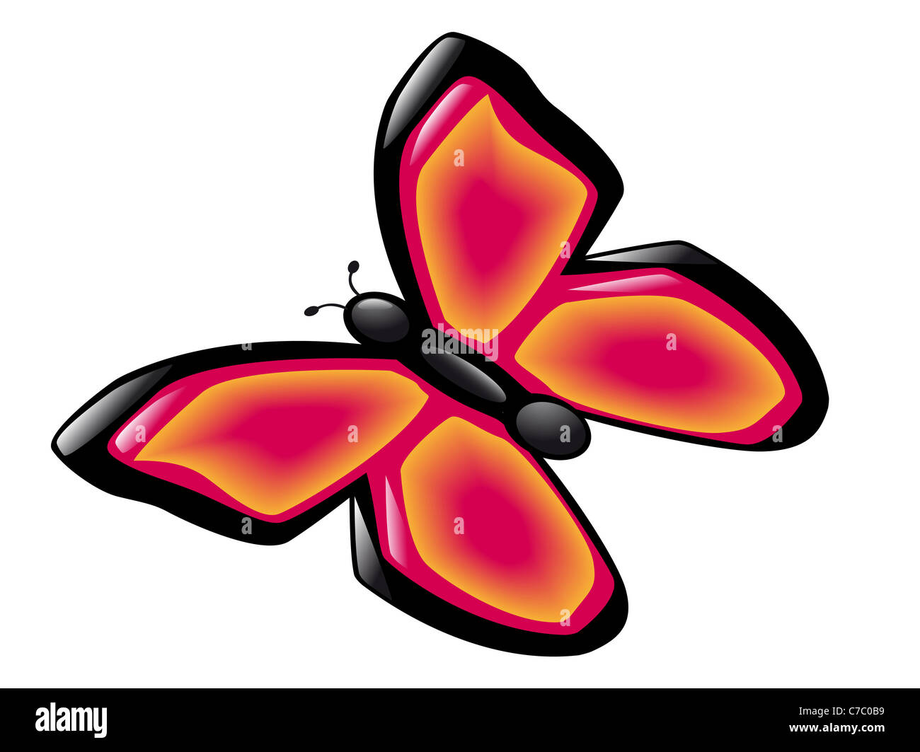 butterfly isolated on white background illustration Stock Photo - Alamy