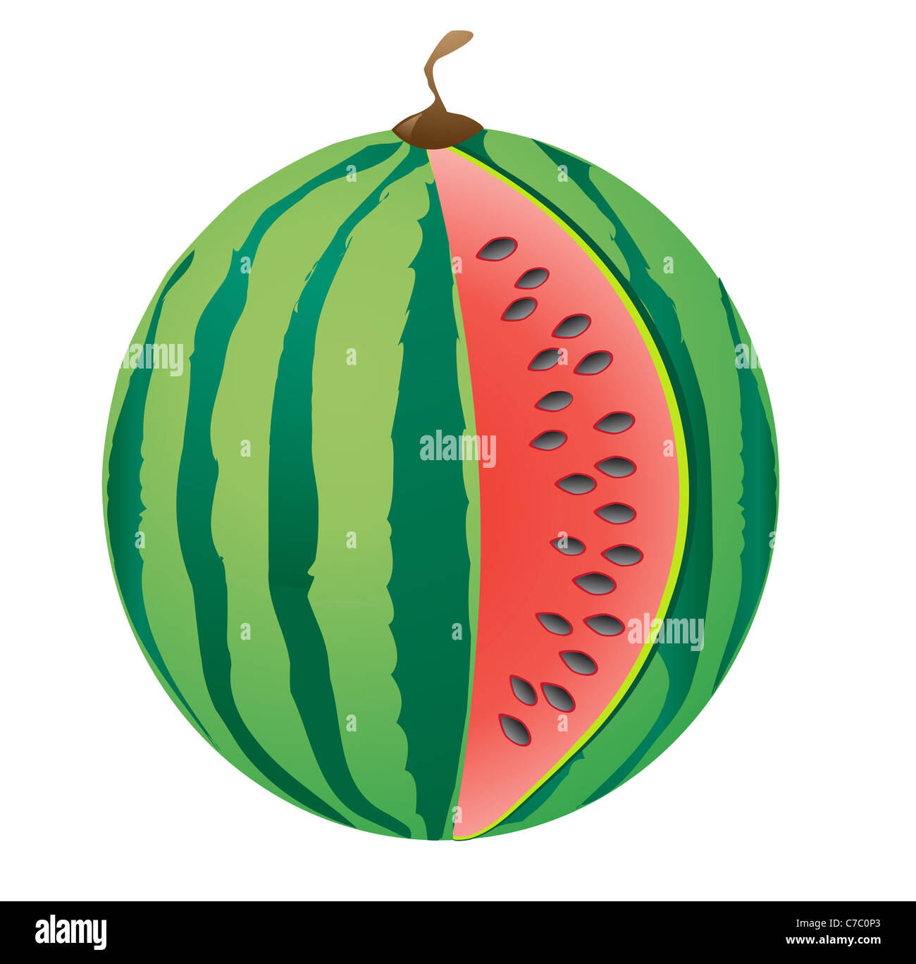 ripe big watermelon illustration isolated on white background Stock ...