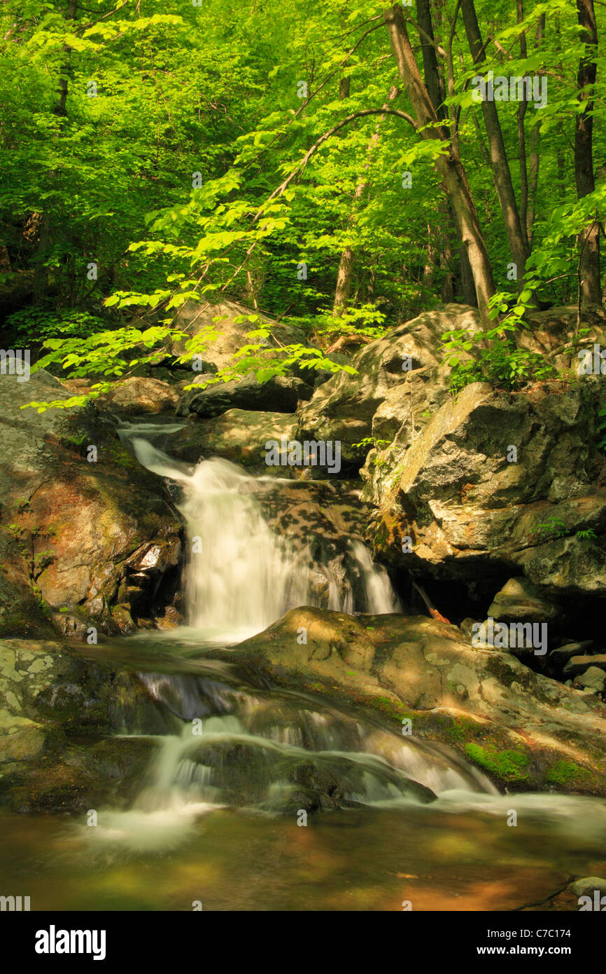 Cedar run trail hires stock photography and images Alamy