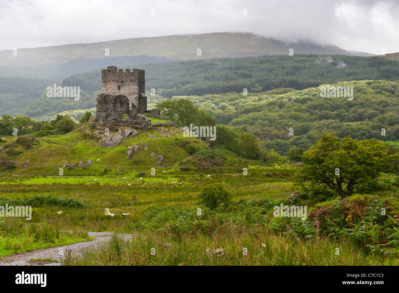dolwyddelan castle in Snowdonia, wales Stock Photo