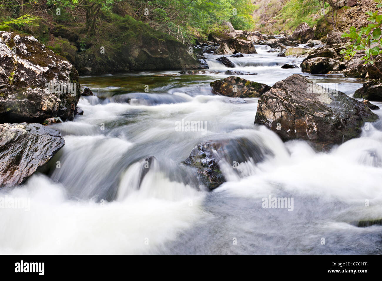 River River