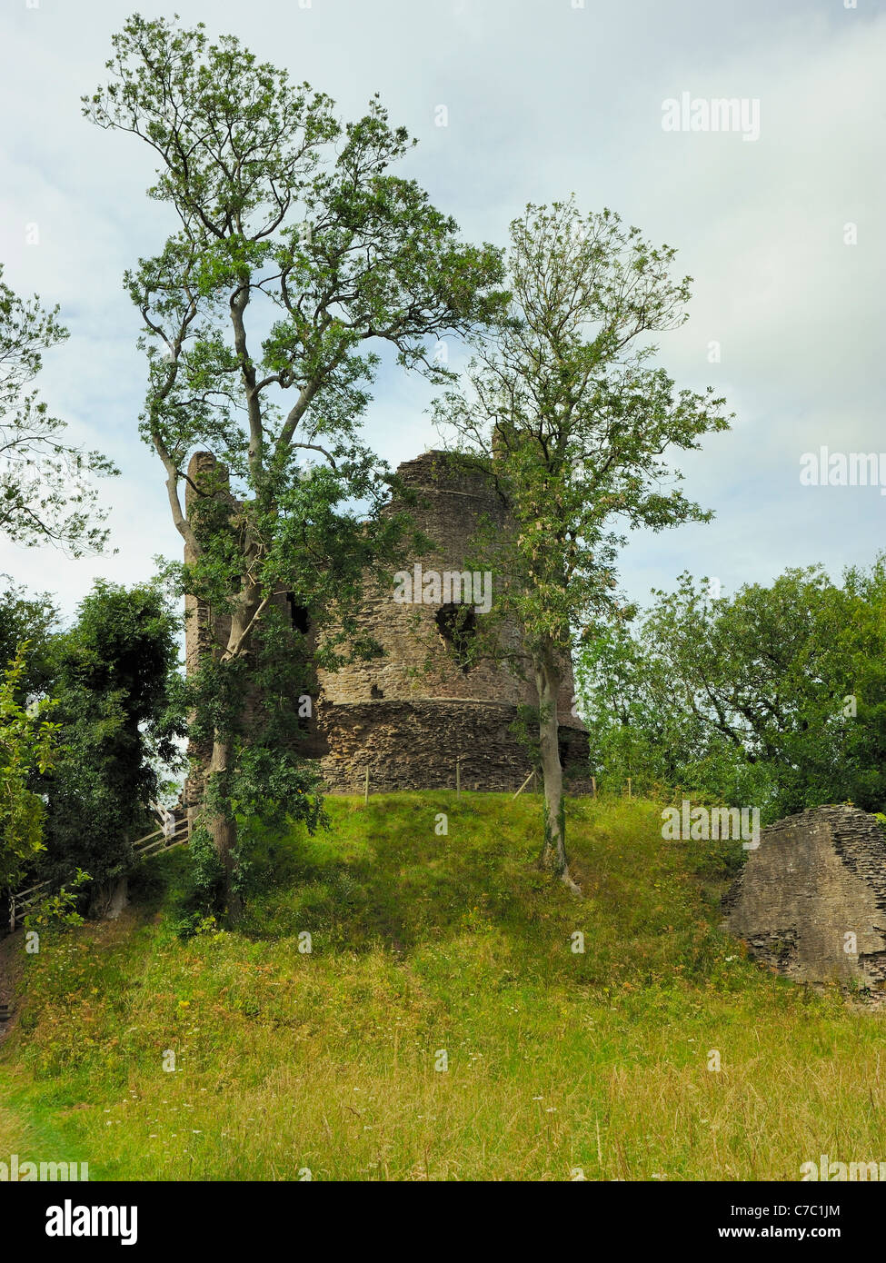 Longtown hires stock photography and images Alamy