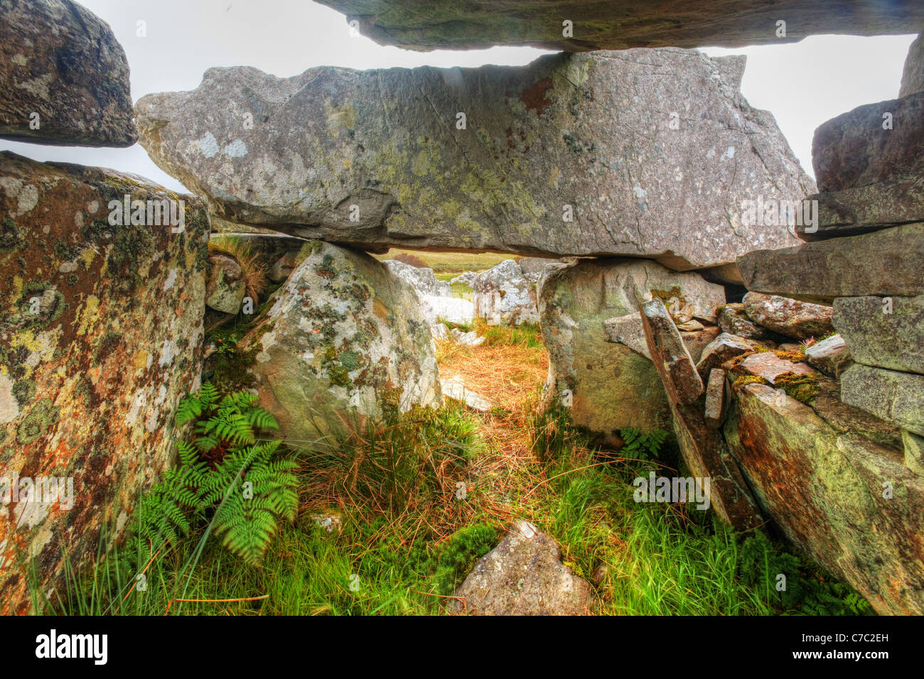 Interior of the Cloghanmore megalithic tomb chamber, County Donegal, Republic of Ireland Stock Photo