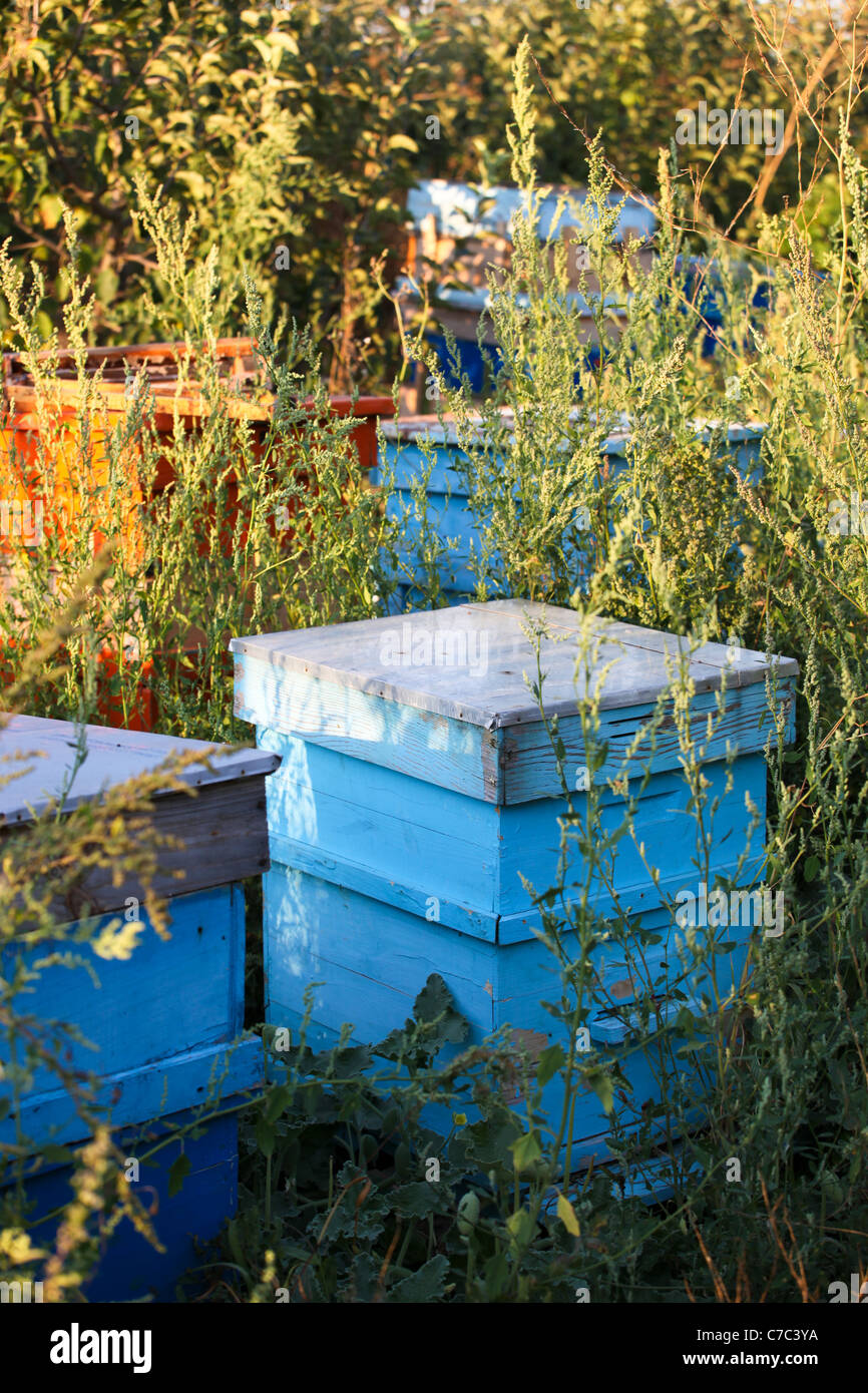 Beehive roof hi res stock photography and images Alamy Beehive roof hi res stock photography and images Alamy