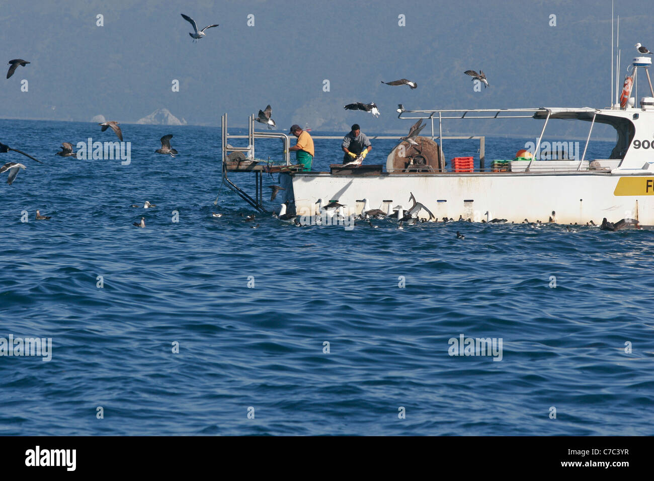 Fishing boat and Sea birds Kaikoura New Zealand Stock Photo Alamy
