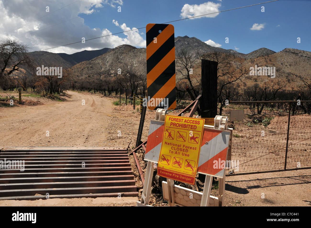 Burned areas of the Huachuca Mountains in the Coronado National Forest