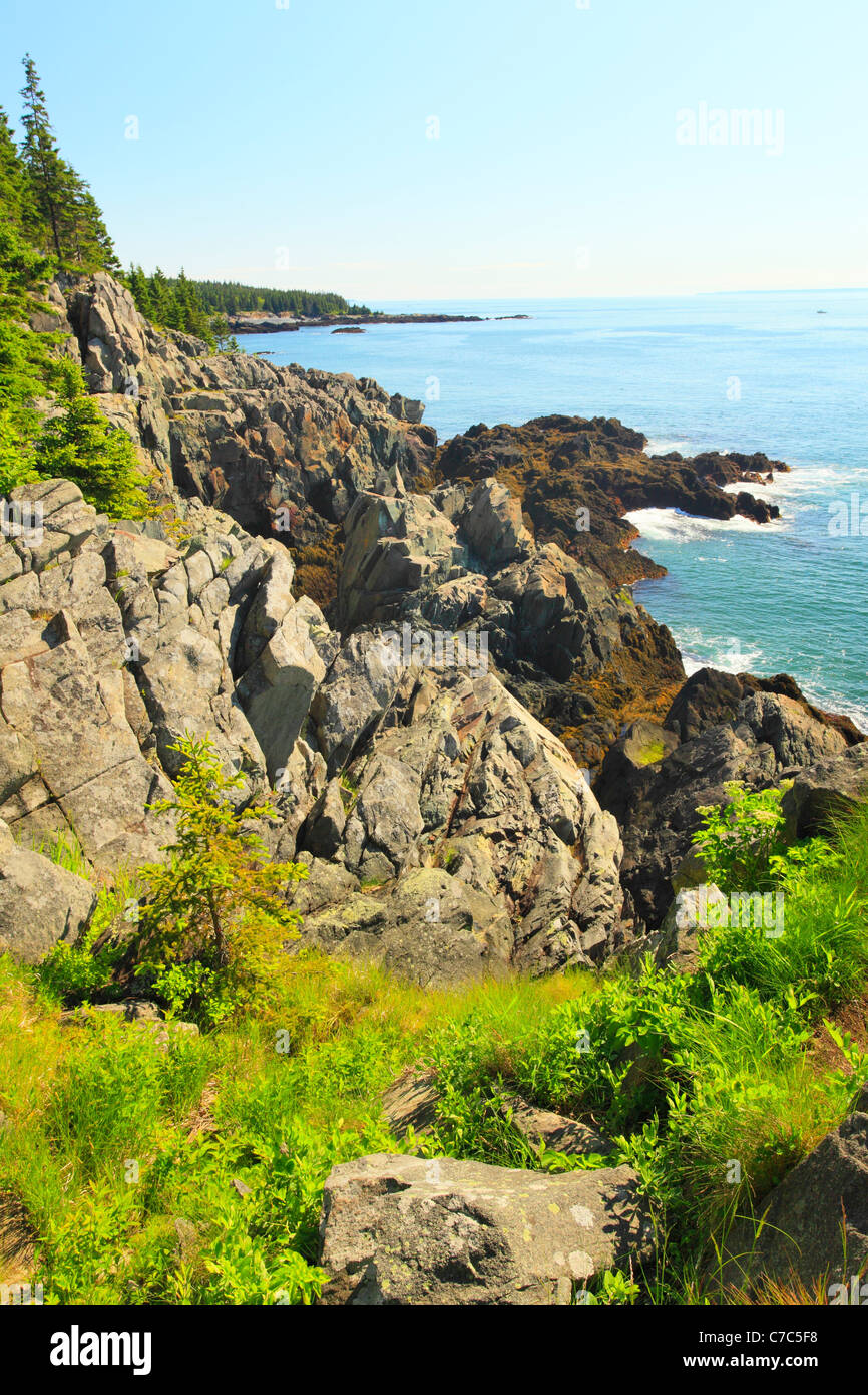 Cutler Coastal Trail, Bold Coast Preserve, Cutler, Maine, USA Stock