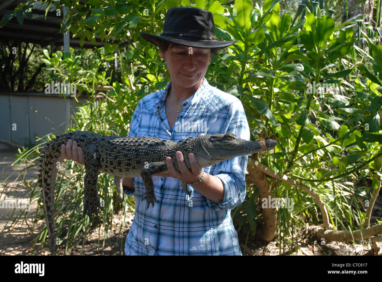 woman holding a crocodile, Bungalow Bay, Horseshoe Bay, Magnetic Island,  Queensland, Australia Stock Photo - Alamy