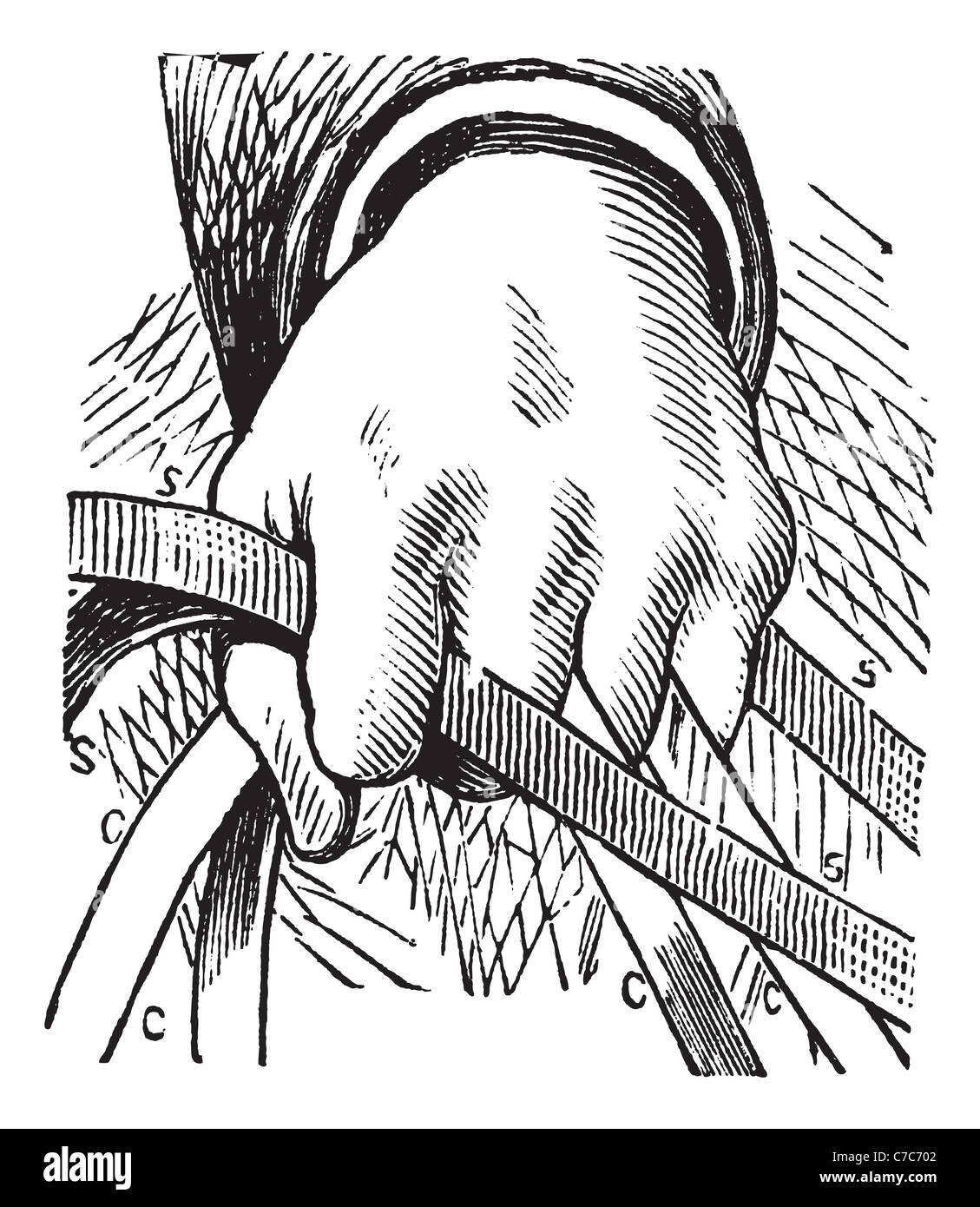 How to hold the reins of horse in double riding, vintage engraving. Old