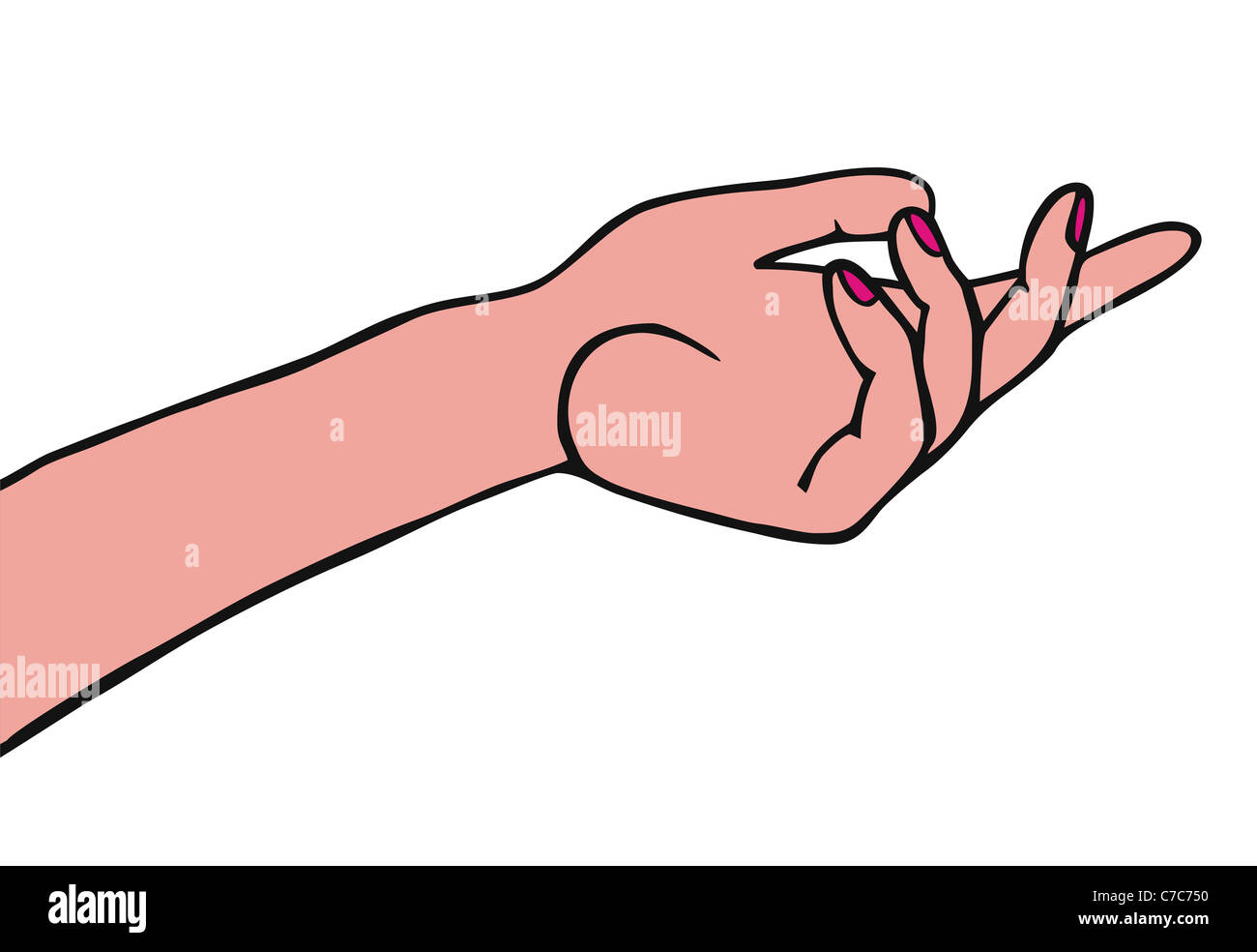 A female hand isolated on white background. Vector available Stock ...
