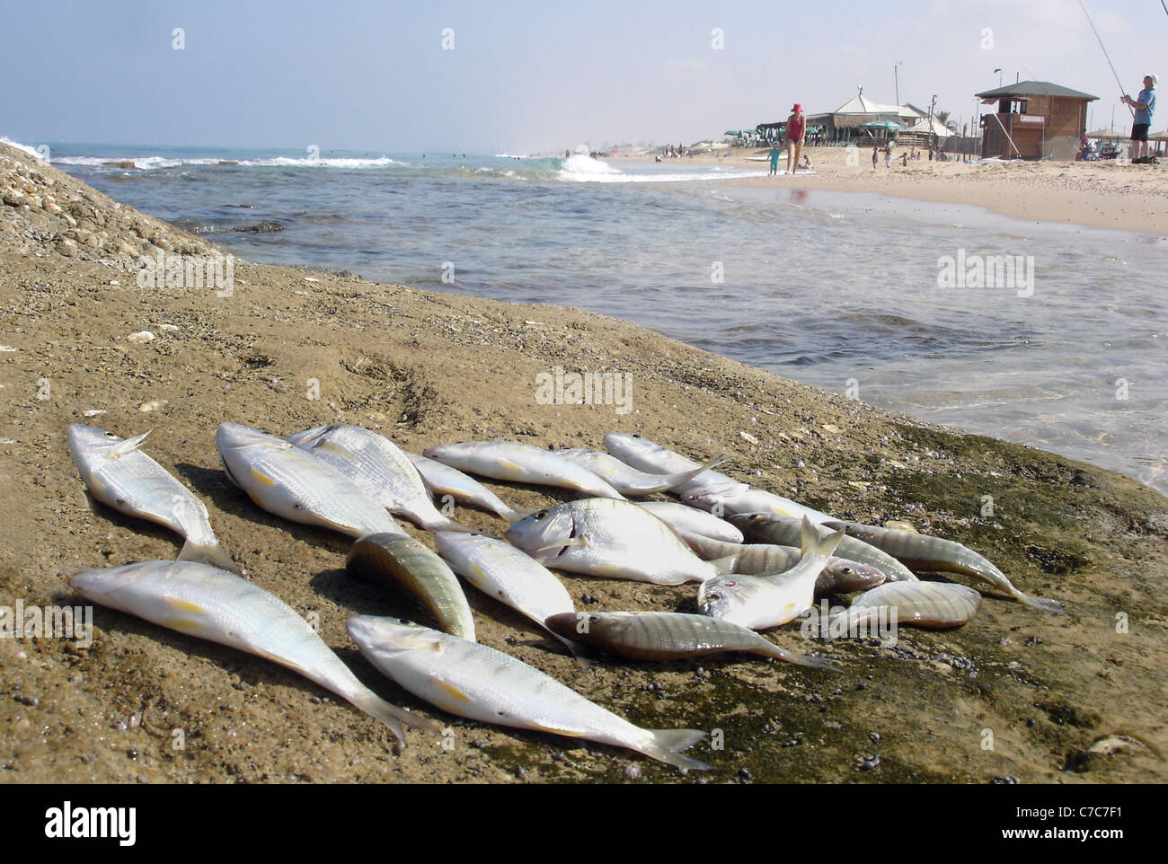 Israel - Nitzanim Beach Stock Photo