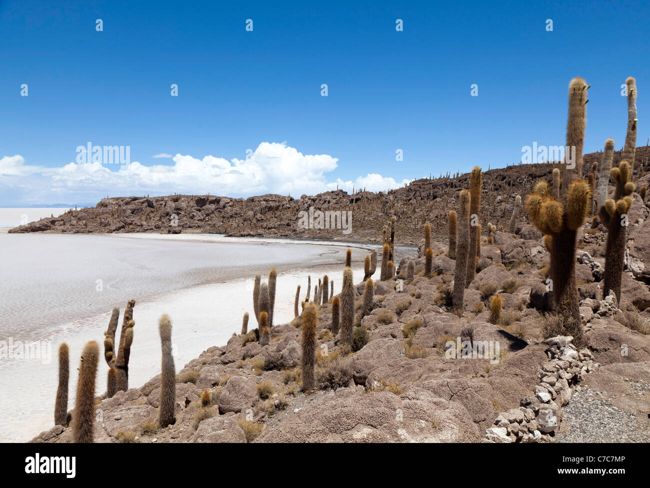 View from Isla Incahuasi, Uyuni Salt Flats, Bolivia Stock Photo