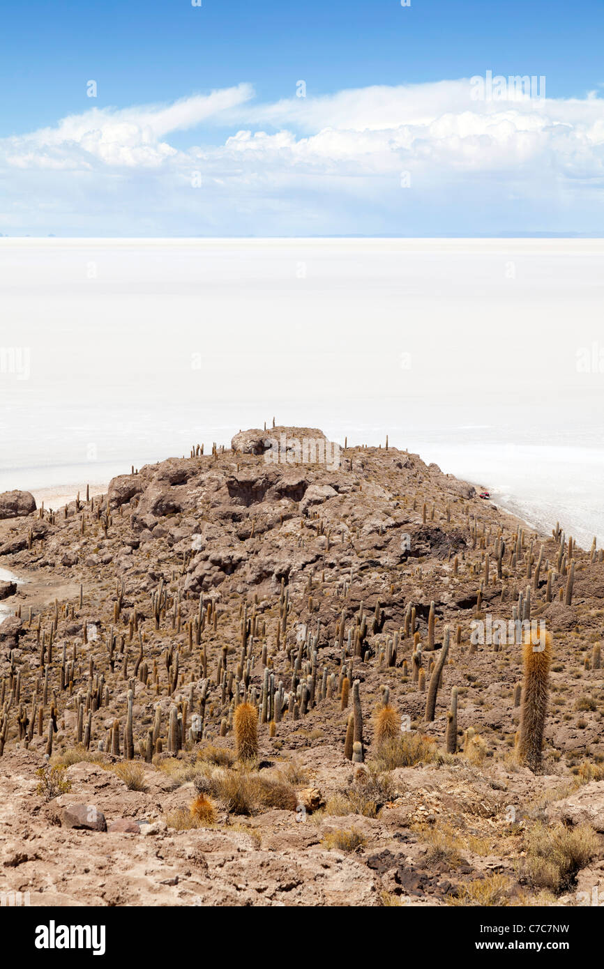 View from Isla Incahuasi Uyuni Salt Flats, Bolivia Stock Photo