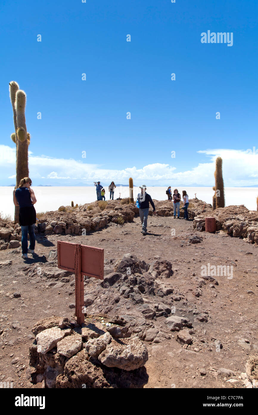 Isla Incahuasi,  Uyuni Salt Flats, Bolivia Stock Photo