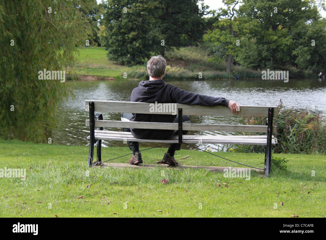 Man Sits On A Bench In A Park Missing His Wife Who Used To Sit