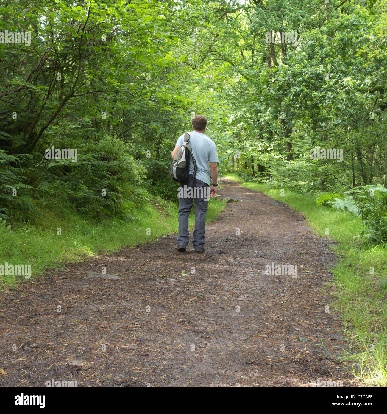 Caucasian Adult Male Walker Walking Through Dalbeattie Forest, Dumfries