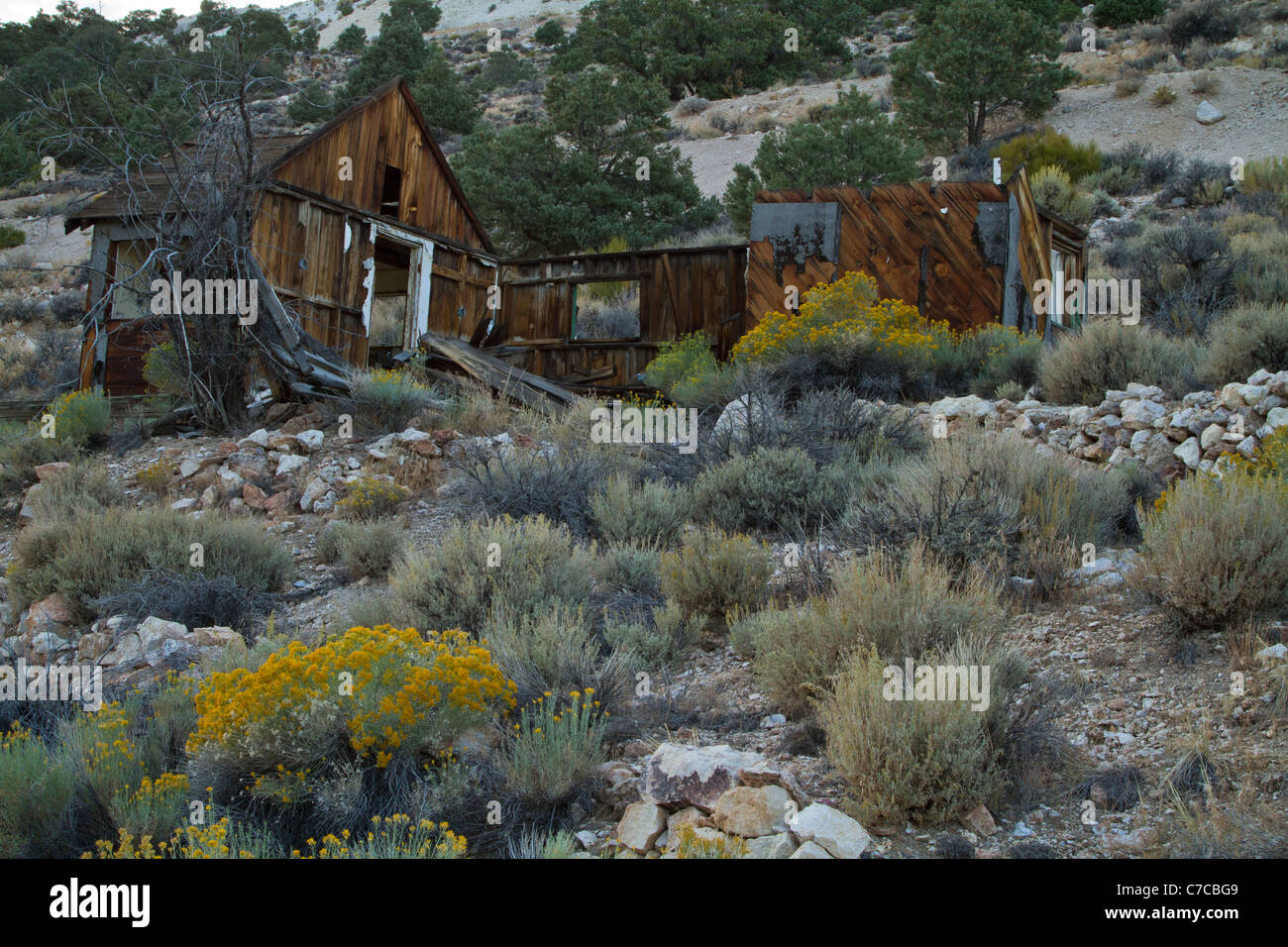 Abandoned mining building near Boundary Peak, Nevada in the White Mountains. Stock Photo
