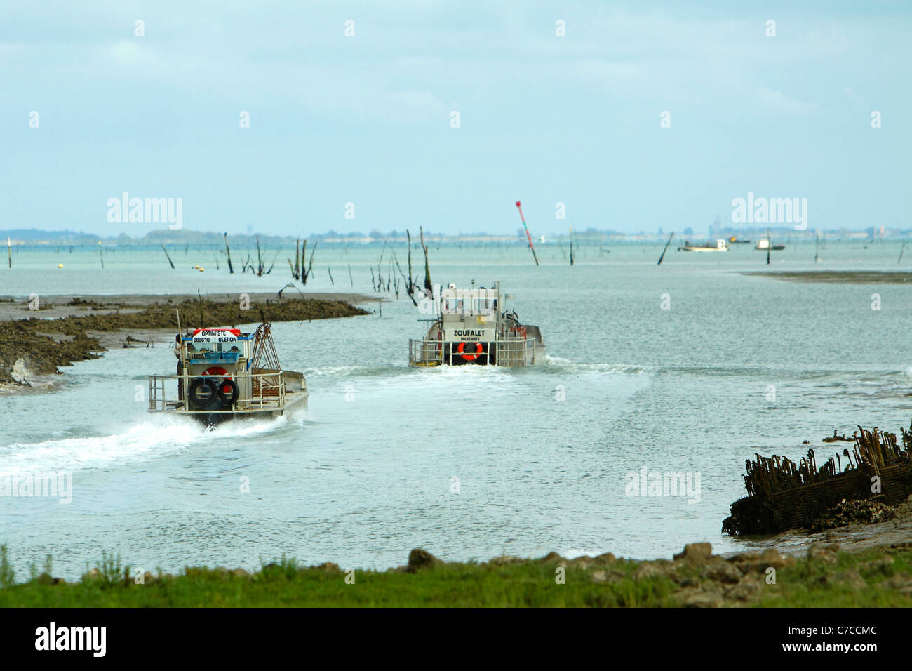 Flat of oyster farmer at first on zone of culture Stock Photo
