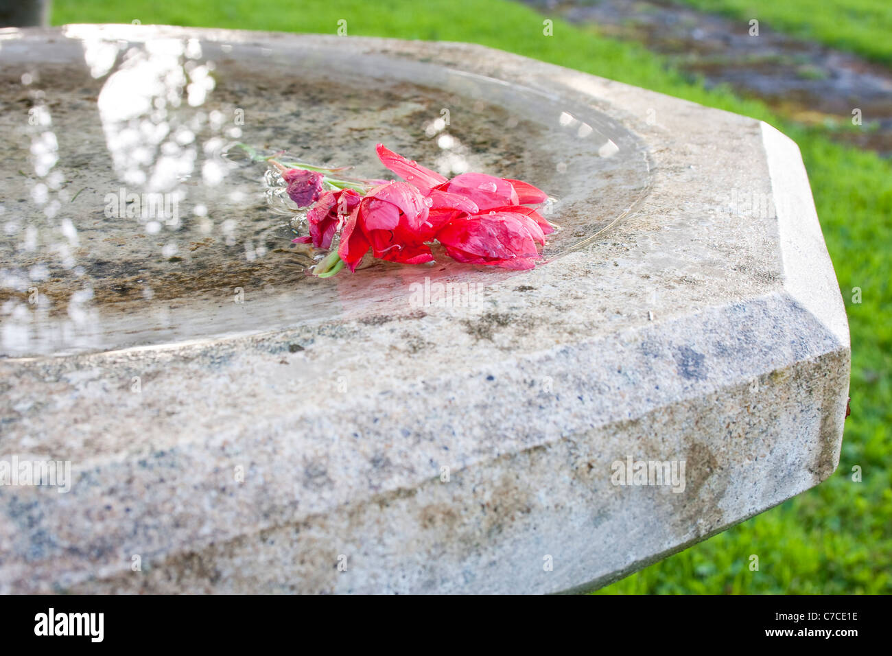 Abstract of Stone Water Bath with Floating Red Flower Stock Photo