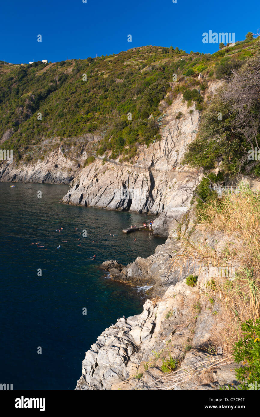 Manarola, Cinque Terre, UNESCO World Heritage Site, Liguria, Italy, Europe Stock Photo