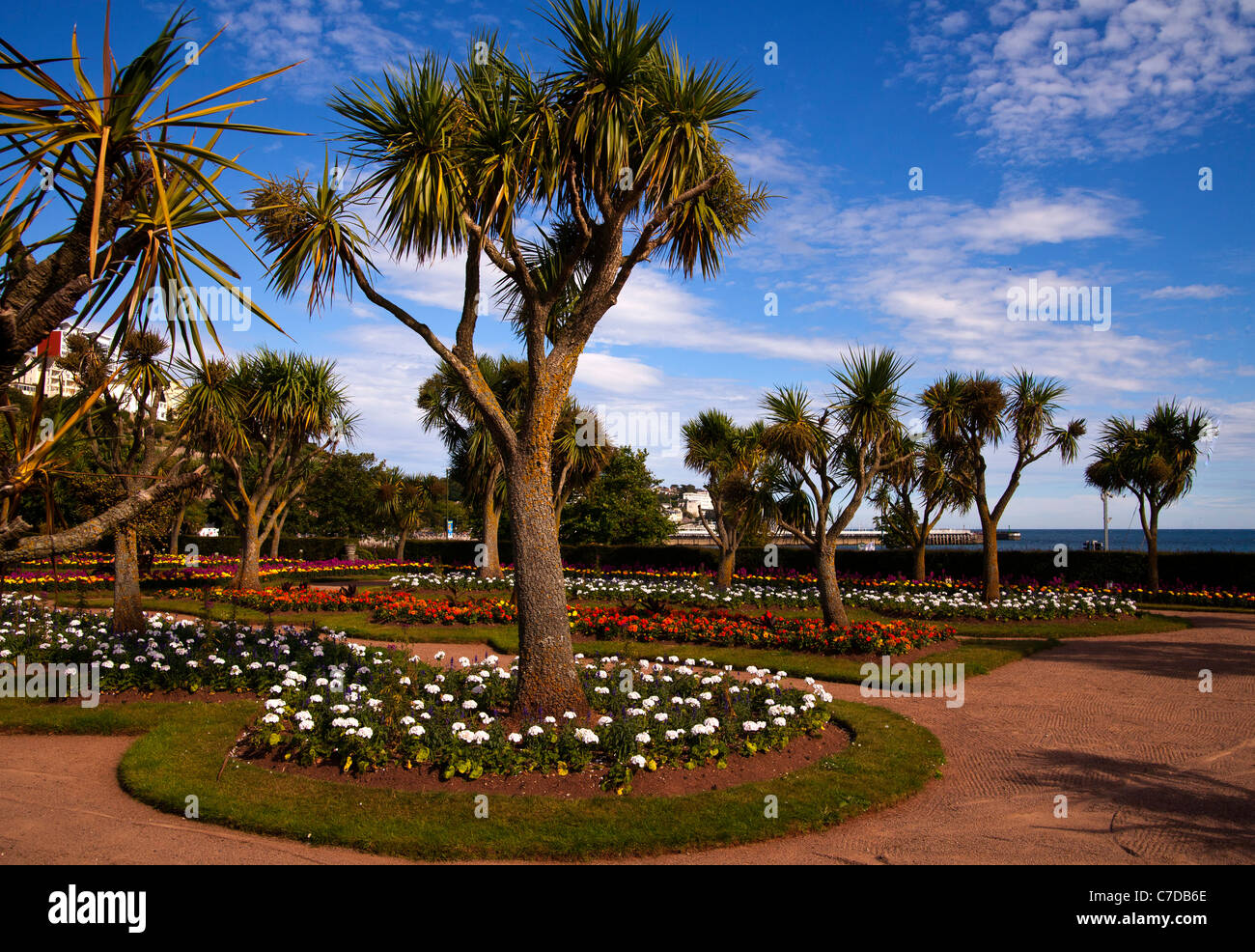 Palm trees in the beautiful gardens on the seafront on Torquay, Devon