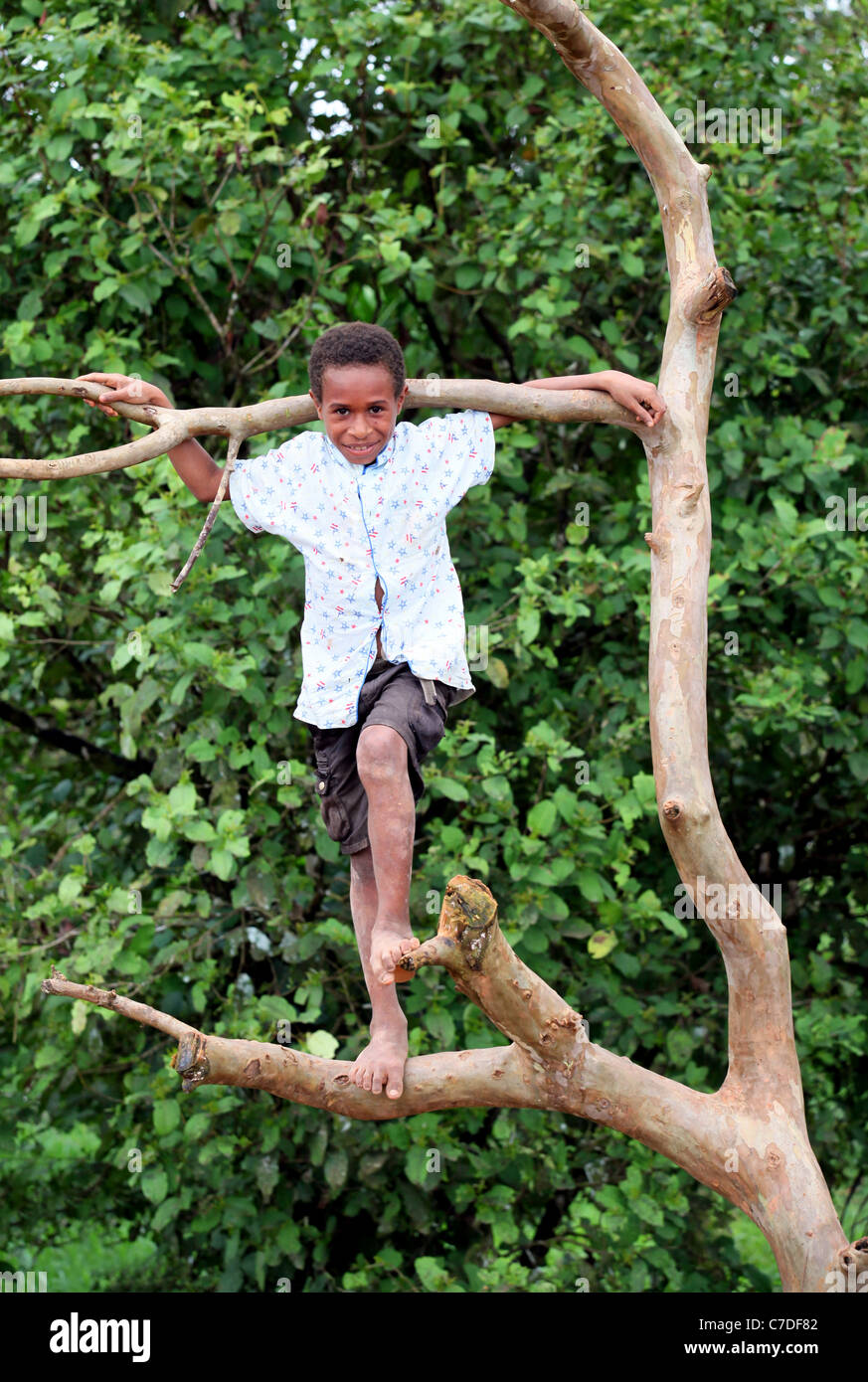 young Boy in a tree, Papua New Guinea Stock Photo