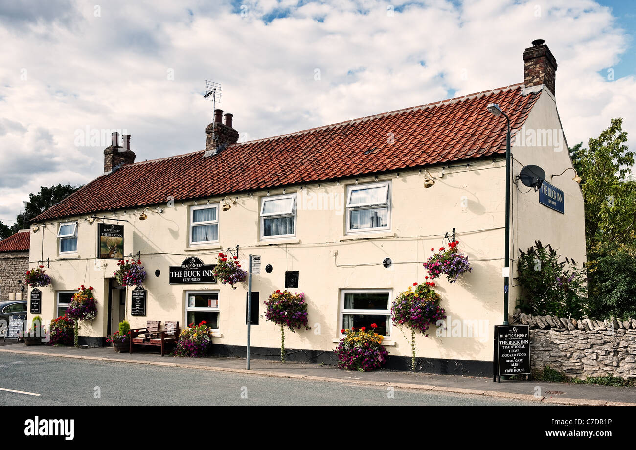 The Buck Inn at Wrelton Village near Pickering Stock Photo Alamy