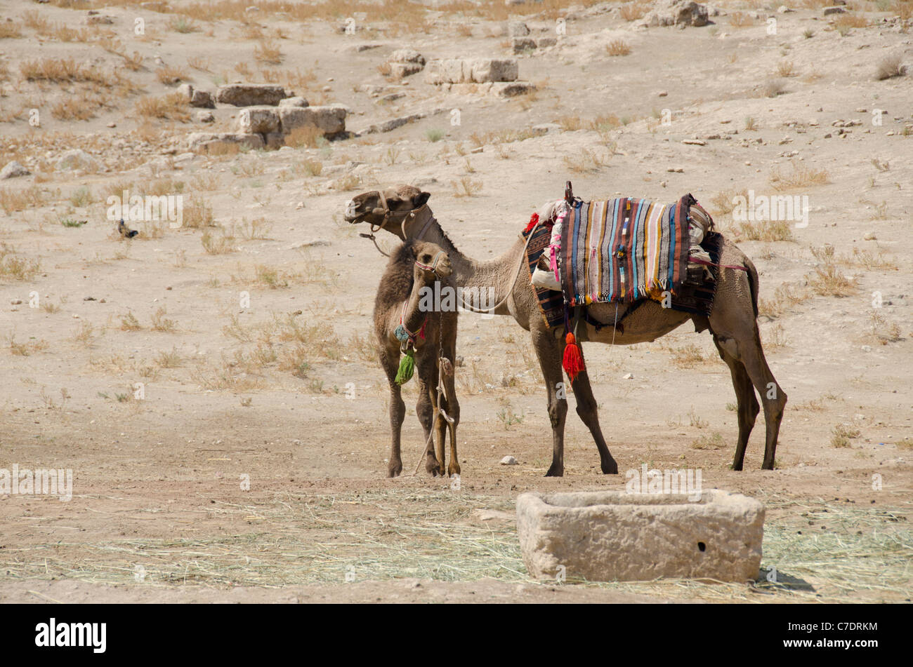 Eastern Turkey, Mesopotamia, ancient city of Harran Stock Photo - Alamy