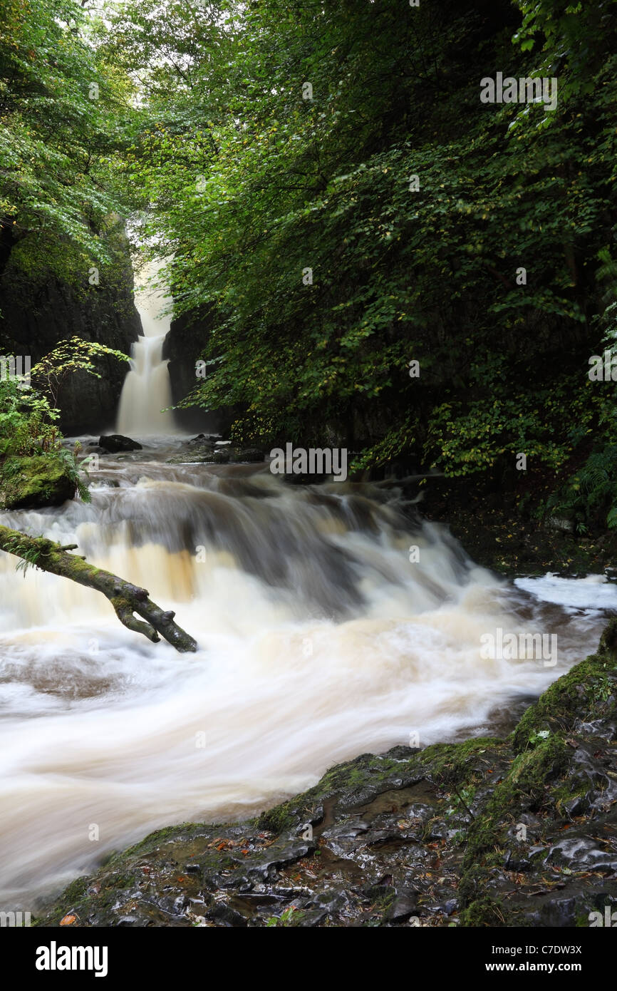 Catrigg Force Waterfall in Early Autumn Stainforth Ribblesdale Yorkshire Dales UK Stock Photo