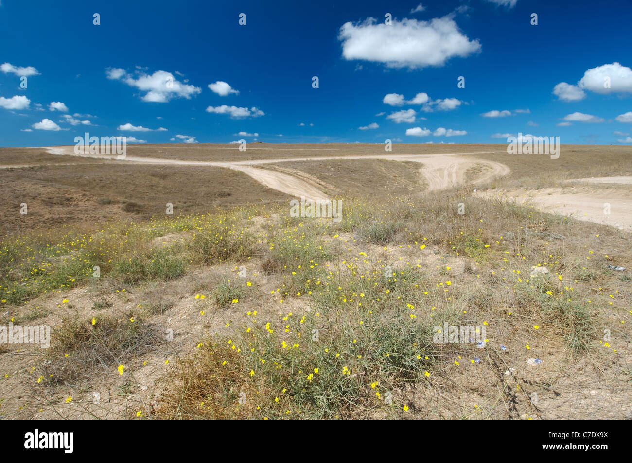 dirt road to steppes Stock Photo
