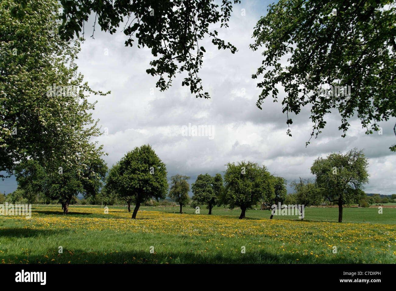 Poiriers hires stock photography and images Alamy