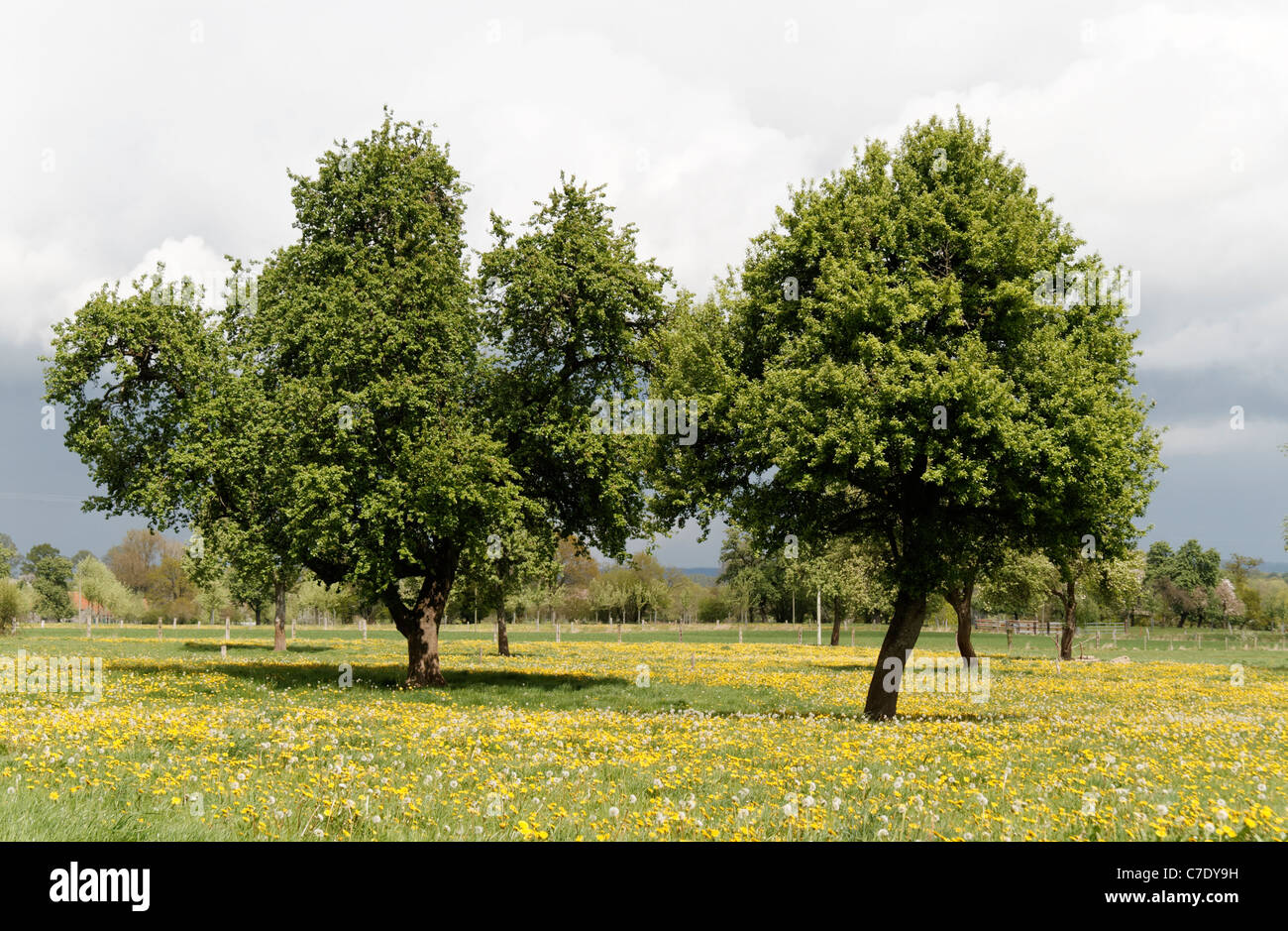 Poiré normandy hires stock photography and images Alamy