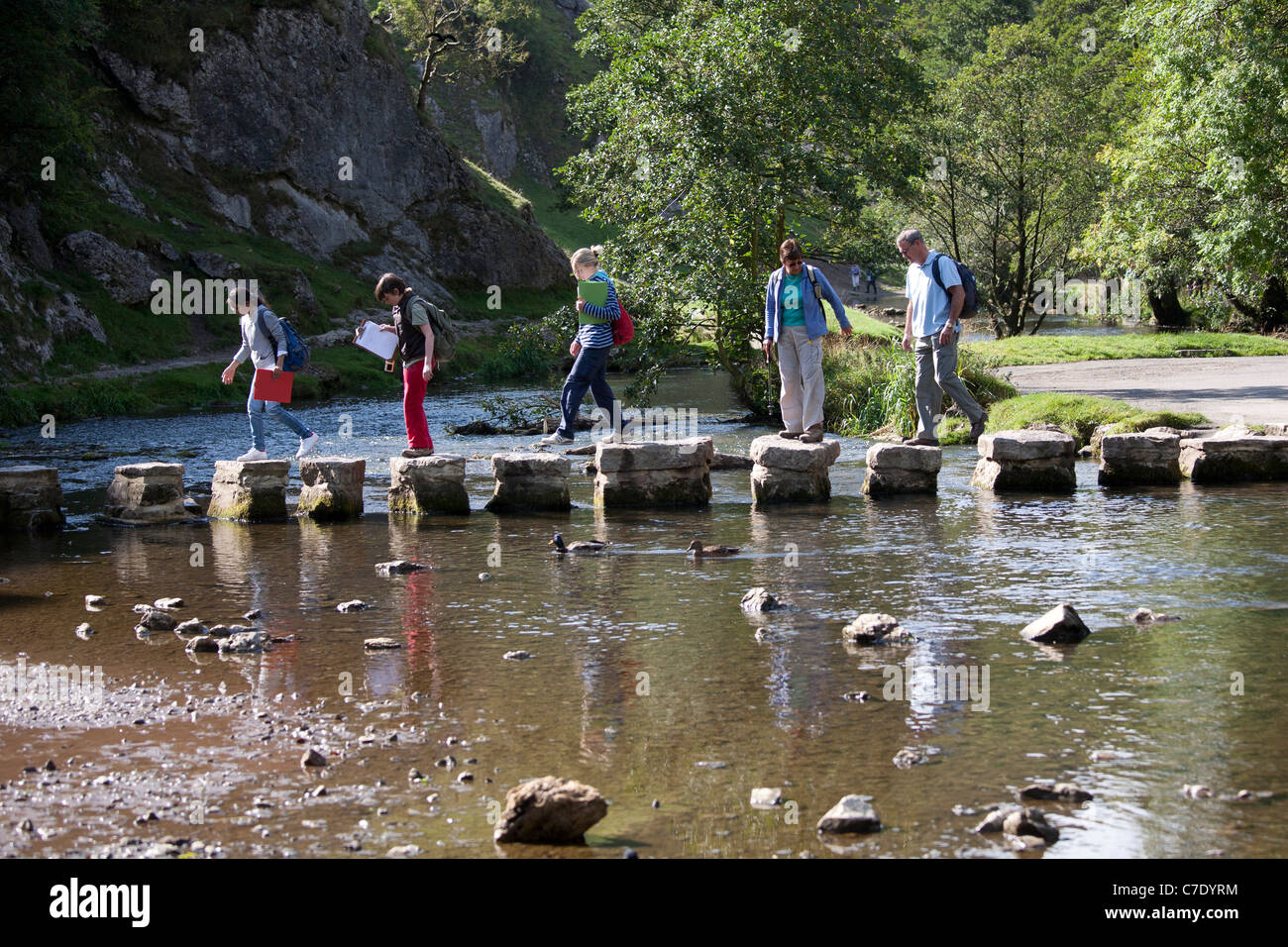 The stepping stones, Dovedale, Peak District National Park, Derbyshire, England UK Stock Photo