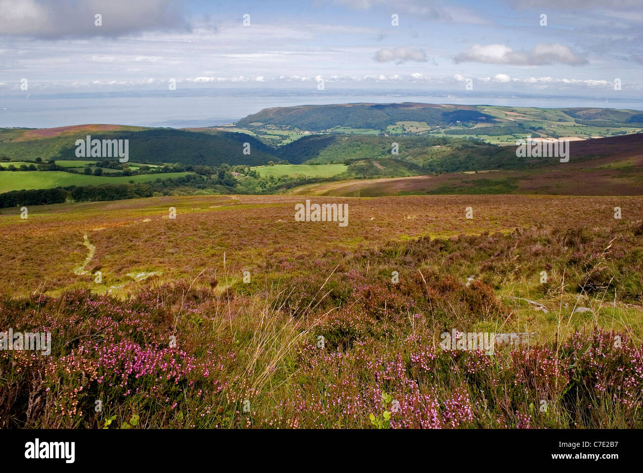 Exmoor landscape Somerset UK Stock Photo