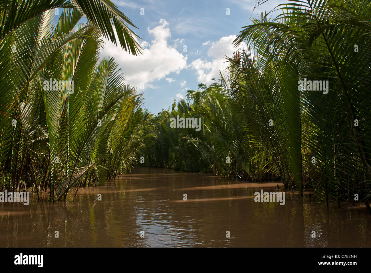 Late afternoon on desolated canal on Mekong delta, Vietnam Stock Photo