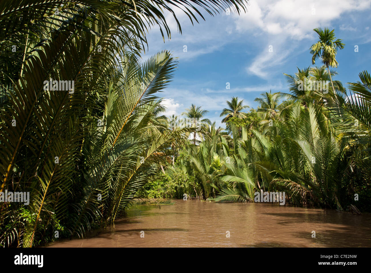 Palm trees rising over desolated canal on Mekong delta, Vietnam Stock Photo