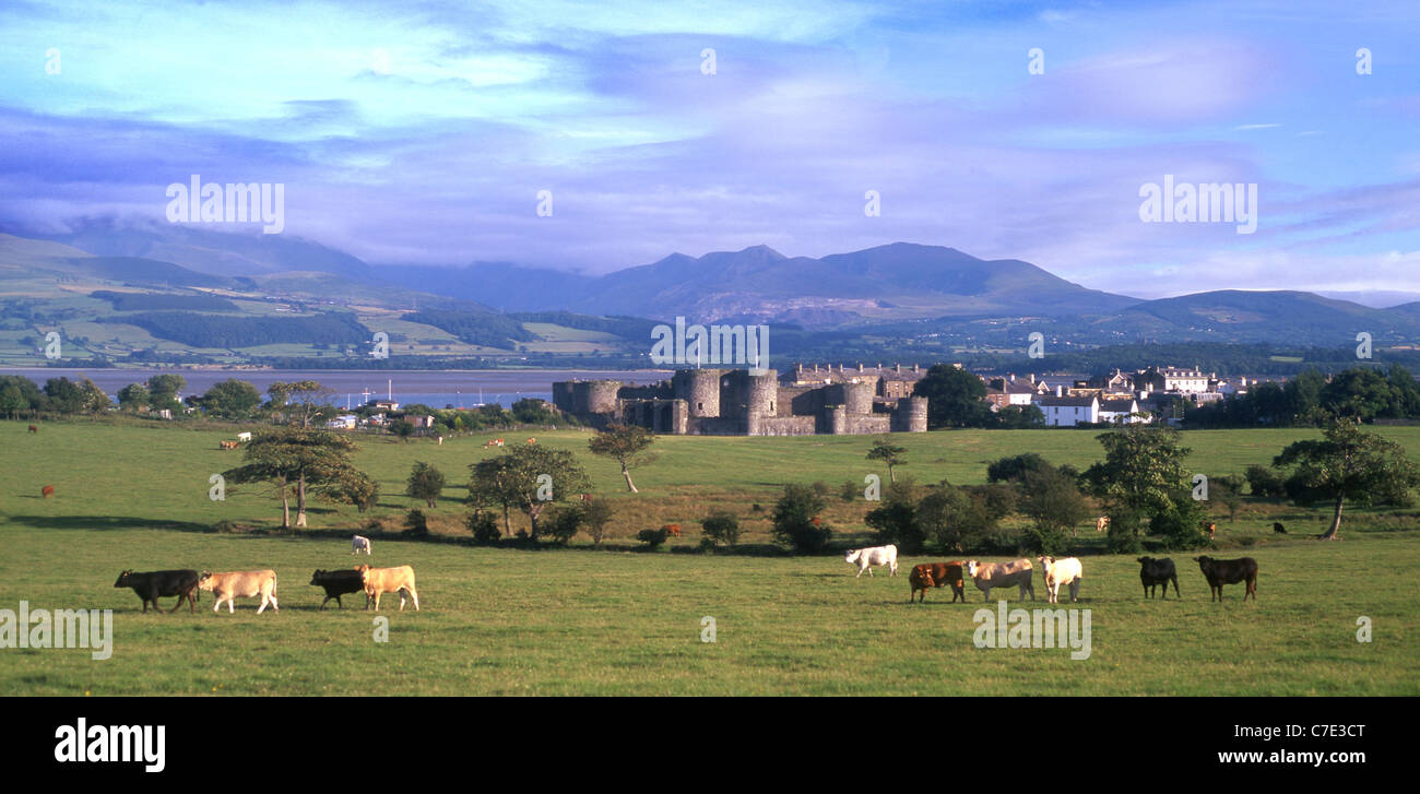 Beaumaris Castle with Menai Strait and Snowdonia in background Isle of Anglesey North Wales UK Stock Photo