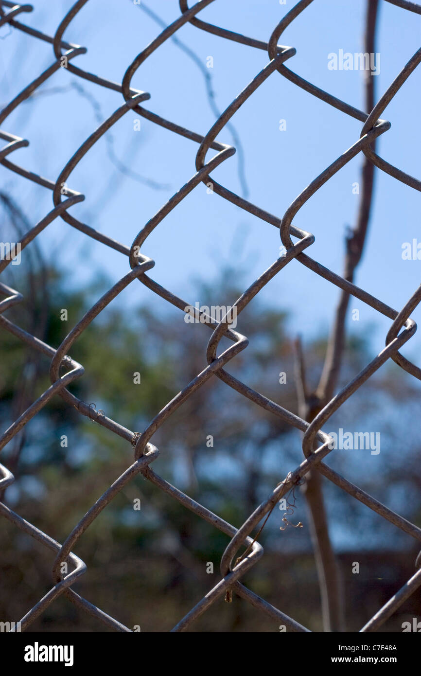 Closeup of a chain link fence near the woods, over a blue sky Stock Photo
