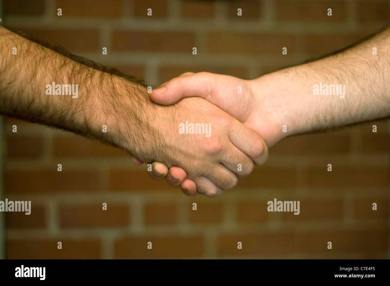 A firm handshake over a brick wall backdrop Stock Photo Alamy