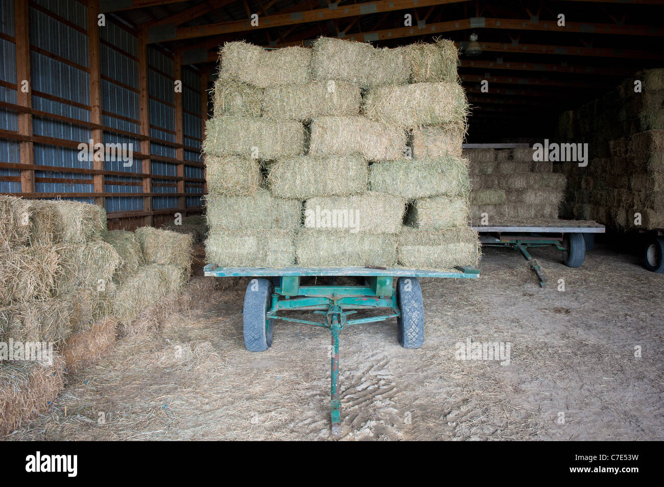 Stacks of hay bales on a wagon in a barn Stock Photo