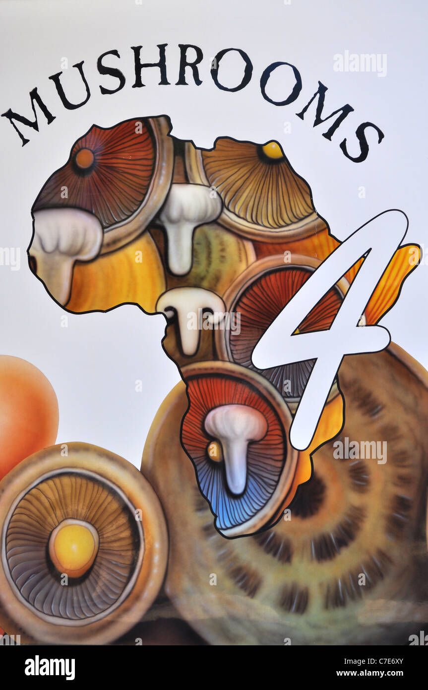 vans store waterfront