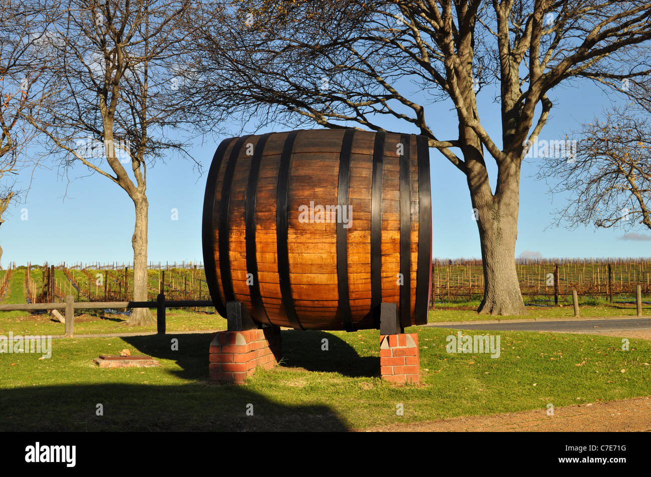 wine barrel, Groot Constantia, Cape Town, Western Cape, South Africa