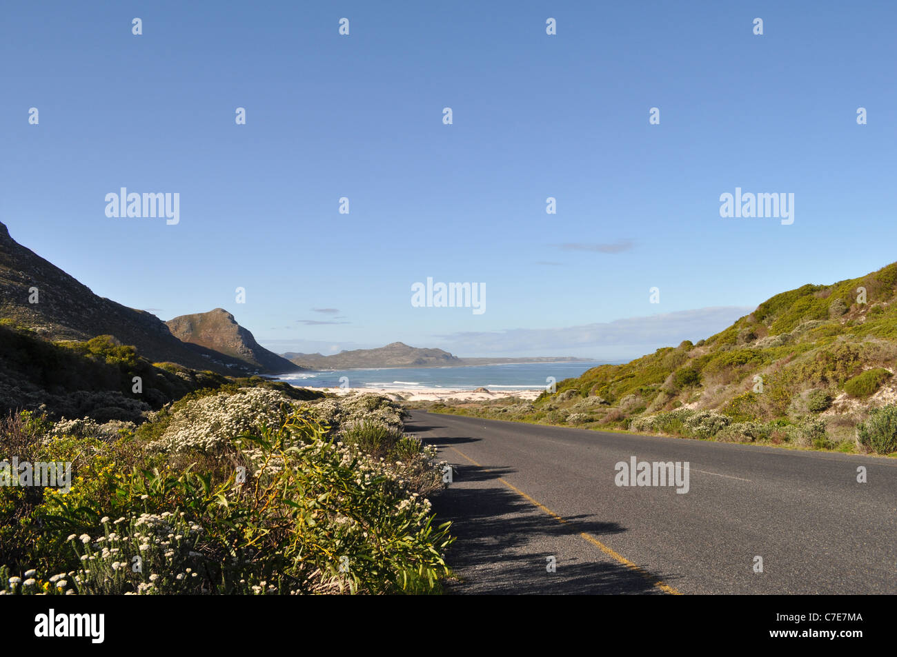 Ocean Drive, Cape of Good Hope, near Scarborough, Cape Town, Western Cape, South Africa Stock Photo