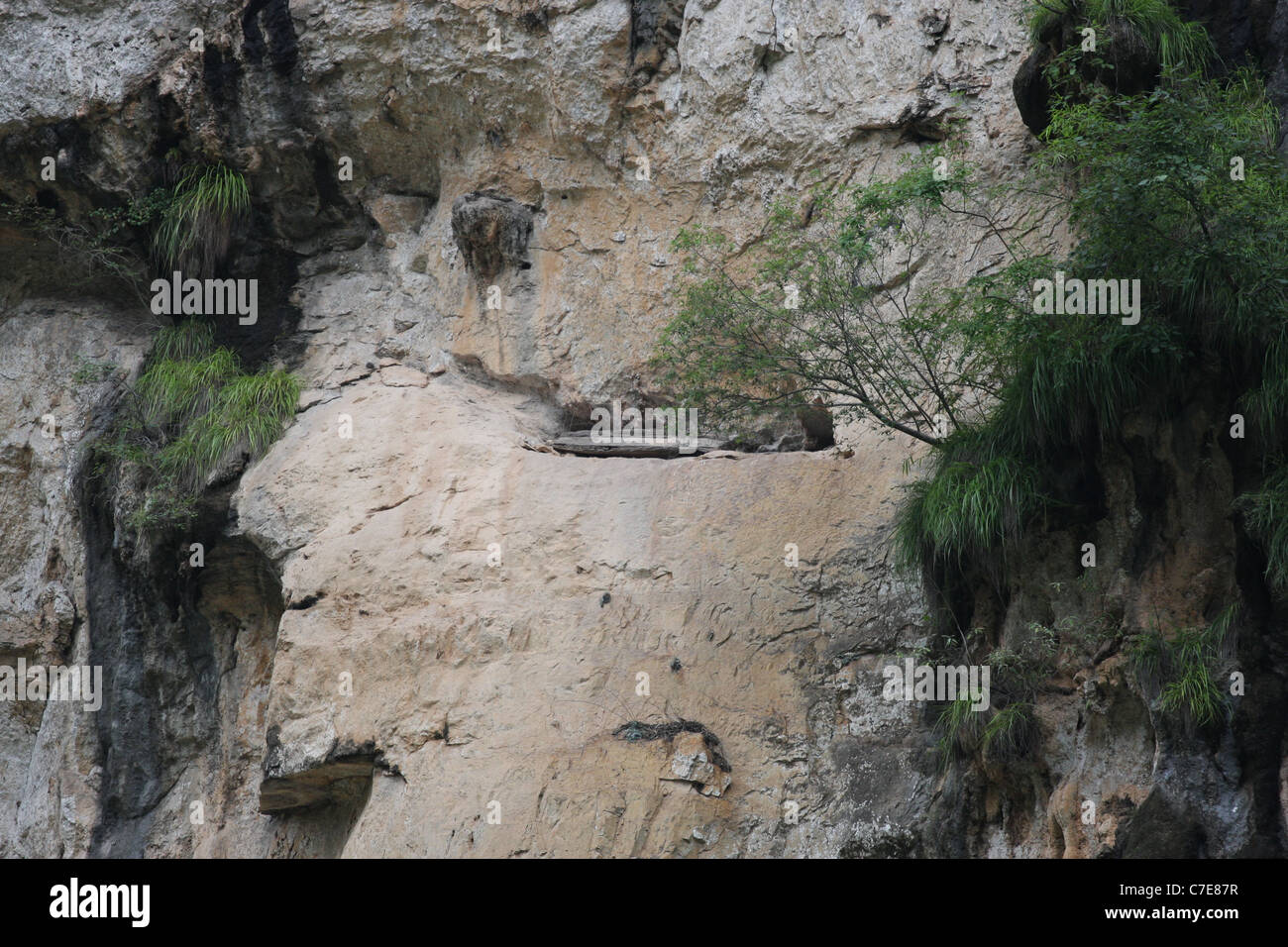 Hanging coffins, in MIsty Gorge, Lesser Three Gorges, China Stock Photo