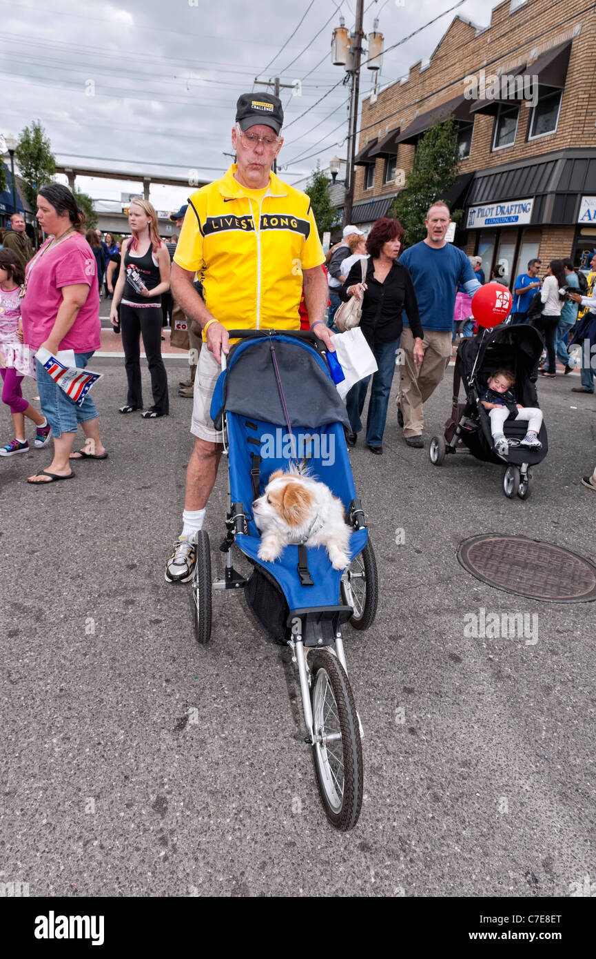 Pushing his cute old dog in stroller, man whistles to get his little pet's attention, at Bellmore Street Festival, New York 2011 Stock Photo