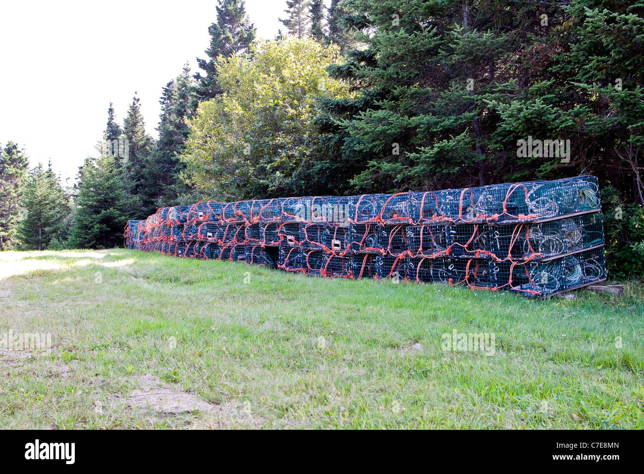 Lobster cages lined up in Bay of Fundy, New Brunswick, Canada. Stock Photo