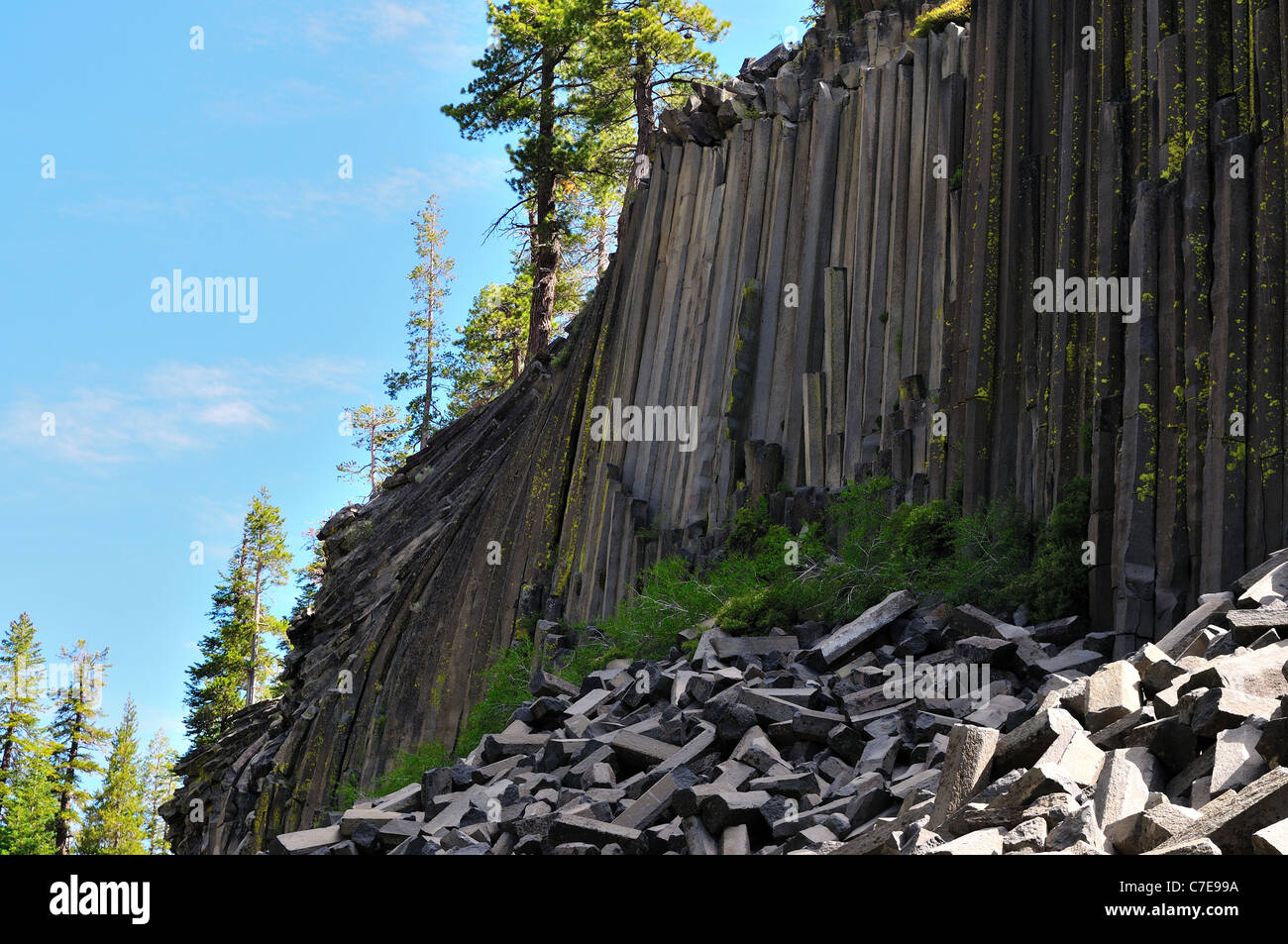 Columnar Jointing In Basalt From Devils Post Pile The Columnar Joints