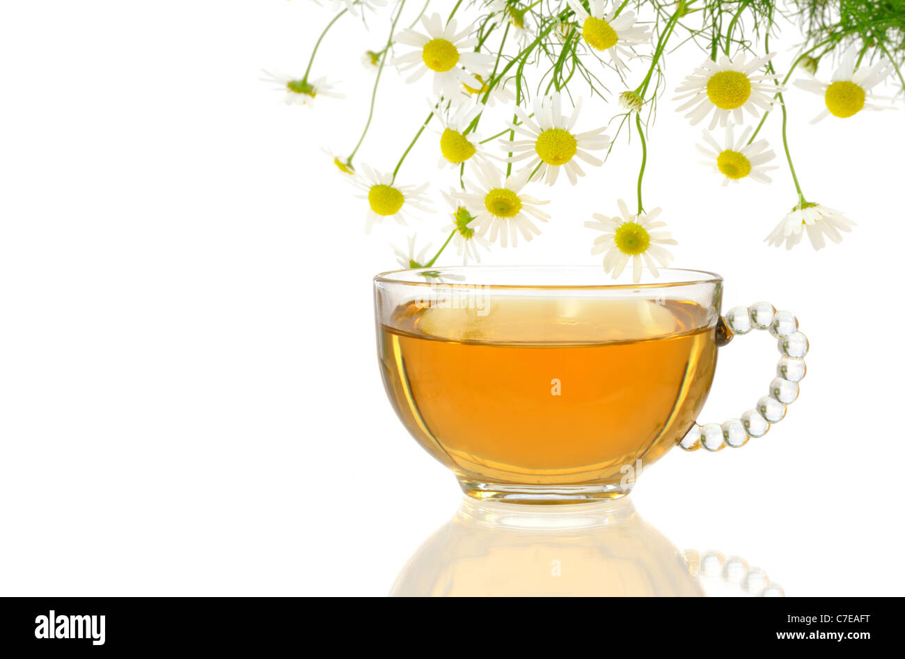 Cup of chamomile tea with fresh chamomilla flowers over white ...
