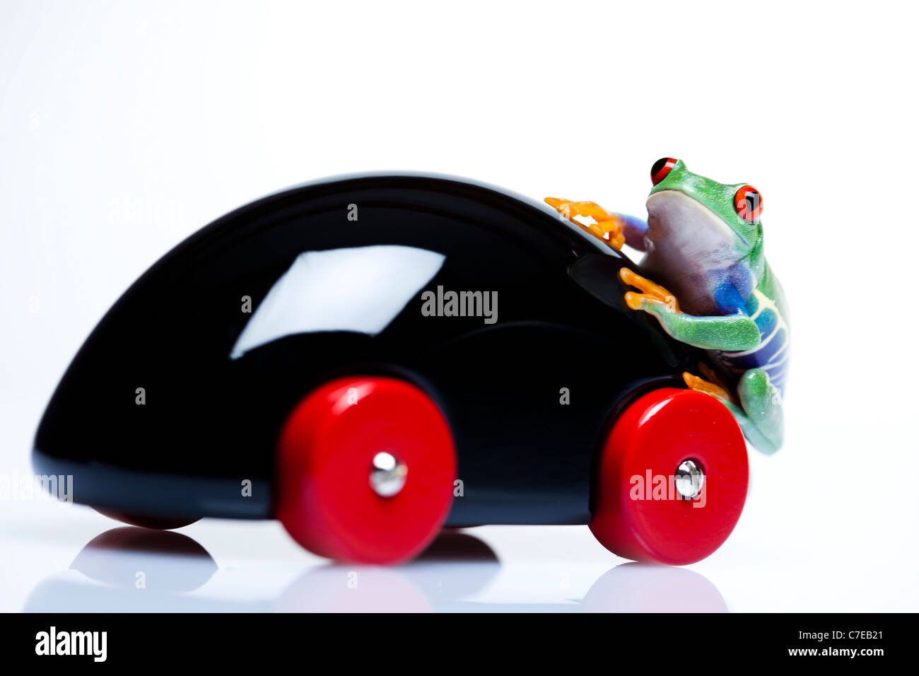 Toy car and frog Stock Photo